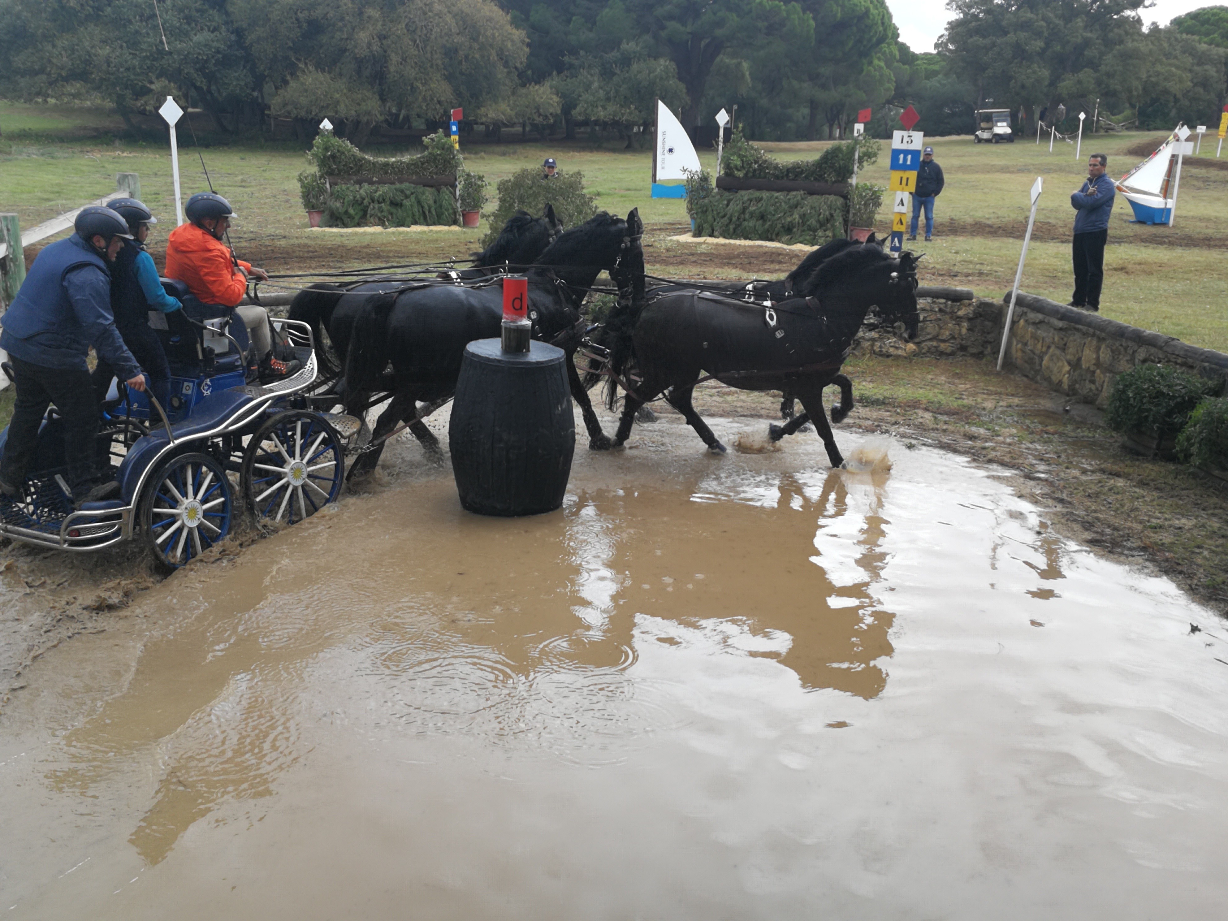 Concurso FEI Enganches, Copa Ibérica 2019 en Montenmedio (Cadiz)